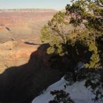 Gran Canyon National Park   Arizona 
